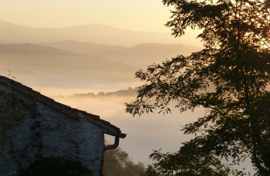 Willa Casa Lucia Motovun Zewnętrze zdjęcie